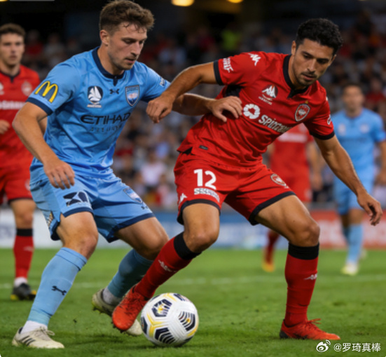 乐动·LDSports(中国)体育官网-悉尼fc足球